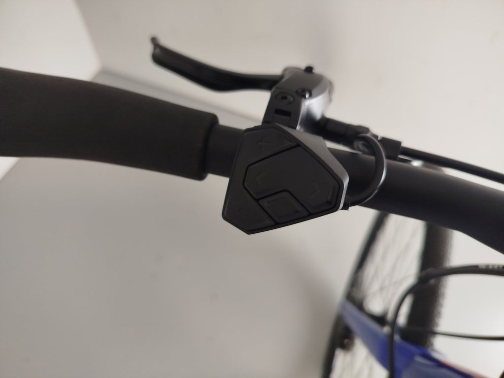 BMC Alpenchallenge AMP AL ONE