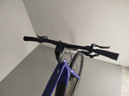 BMC Alpenchallenge AMP AL ONE