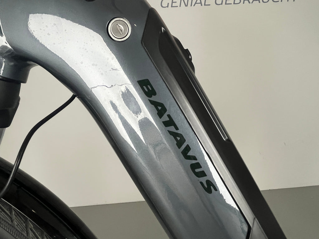 Batavus Altura e-go