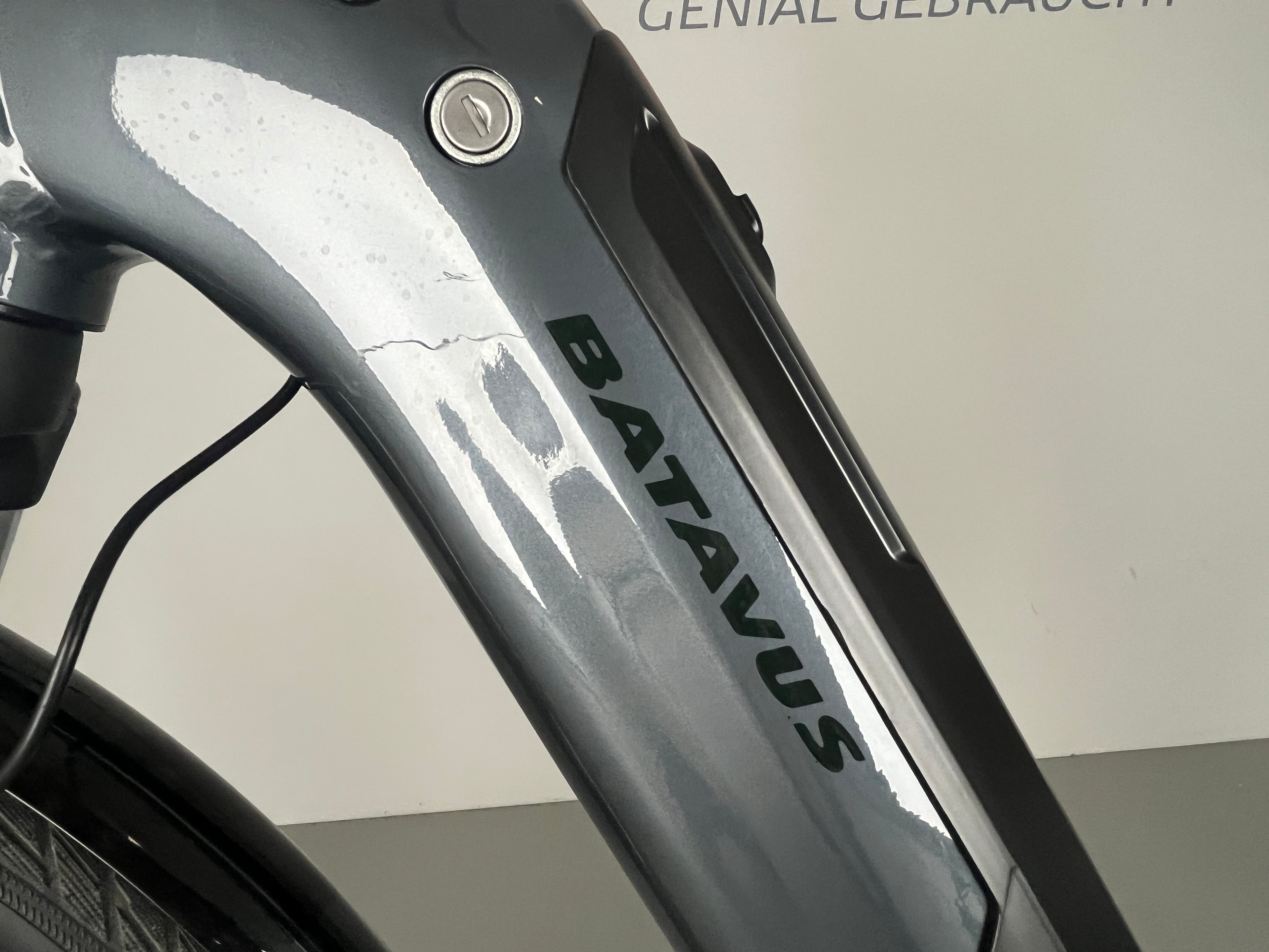 Batavus Altura e-go