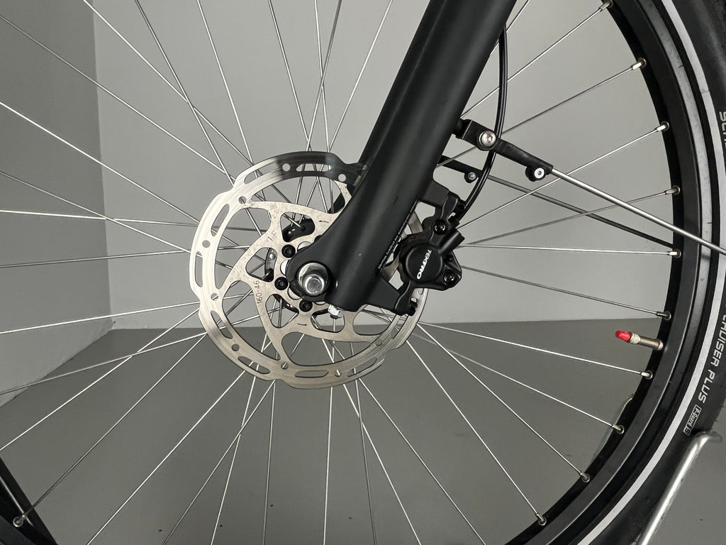 Batavus Altura e-go