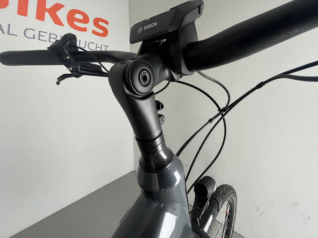Batavus Altura e-go