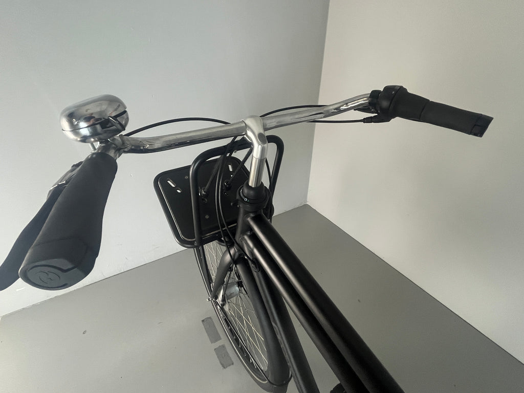 Batavus PACKD Plus