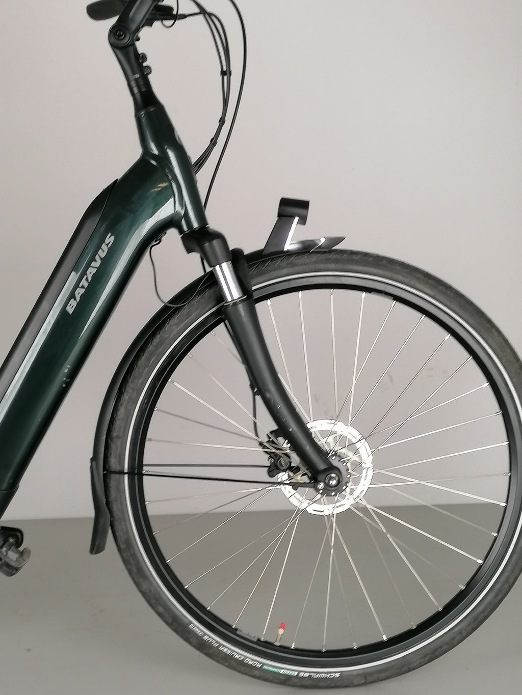 Batavus  E-go Power RT