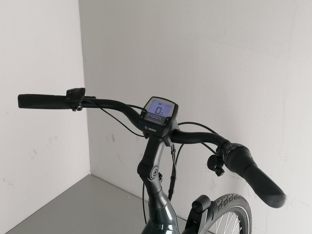 Batavus  E-go Power RT