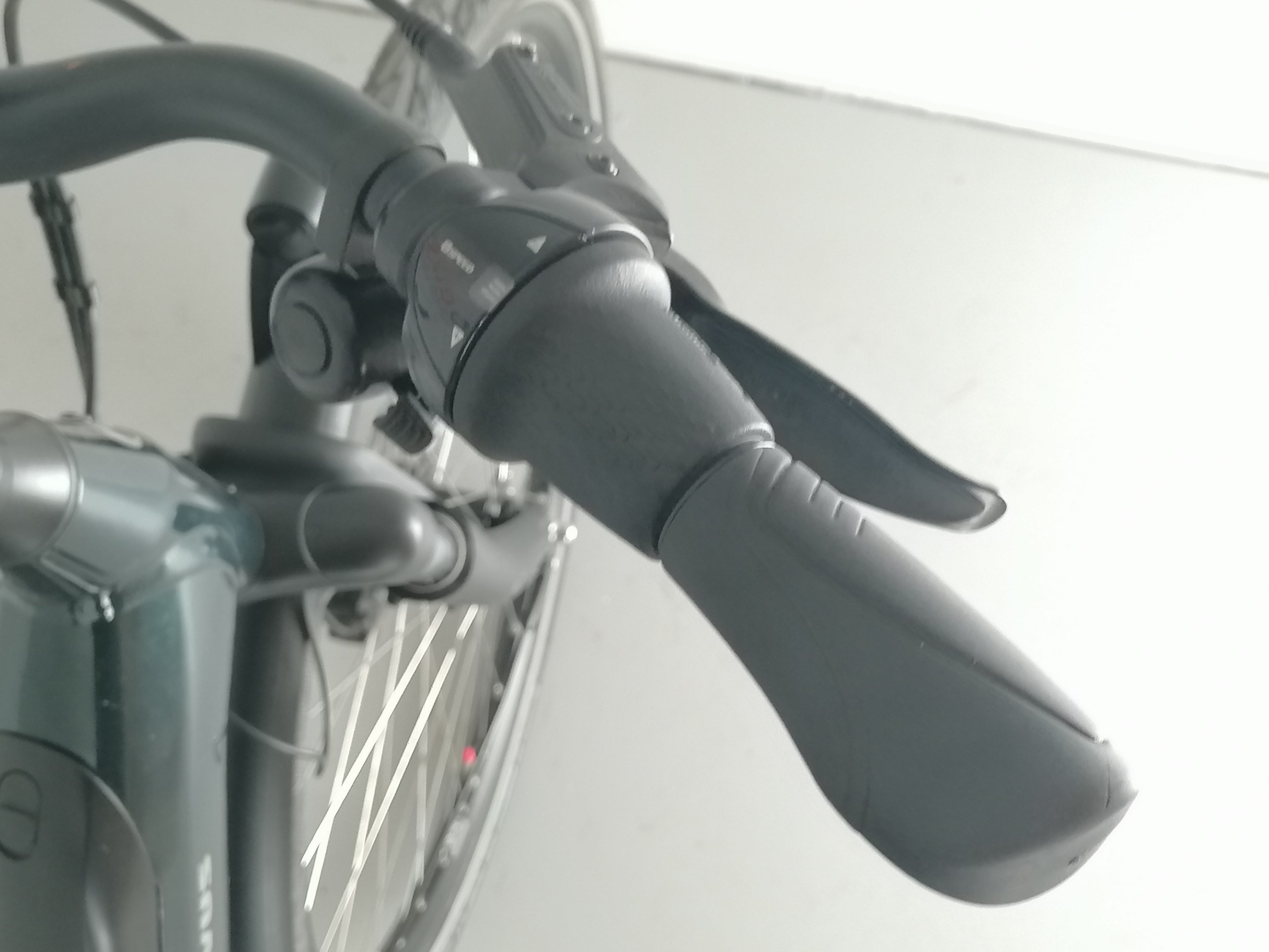 Batavus  E-go Power RT