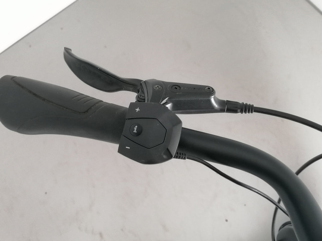 Batavus  E-go Power RT