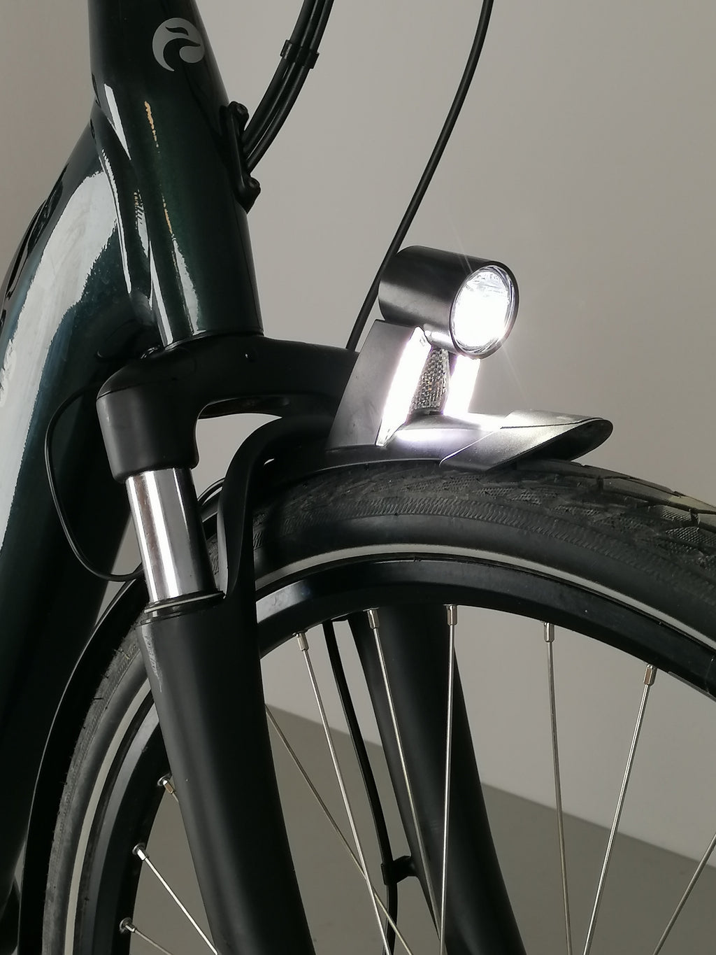 Batavus  E-go Power RT