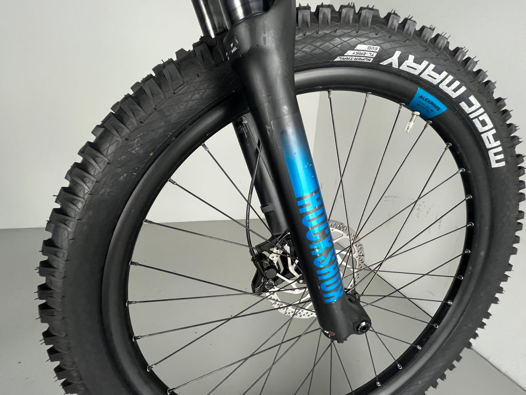 Bergamont E-Trailster Pro