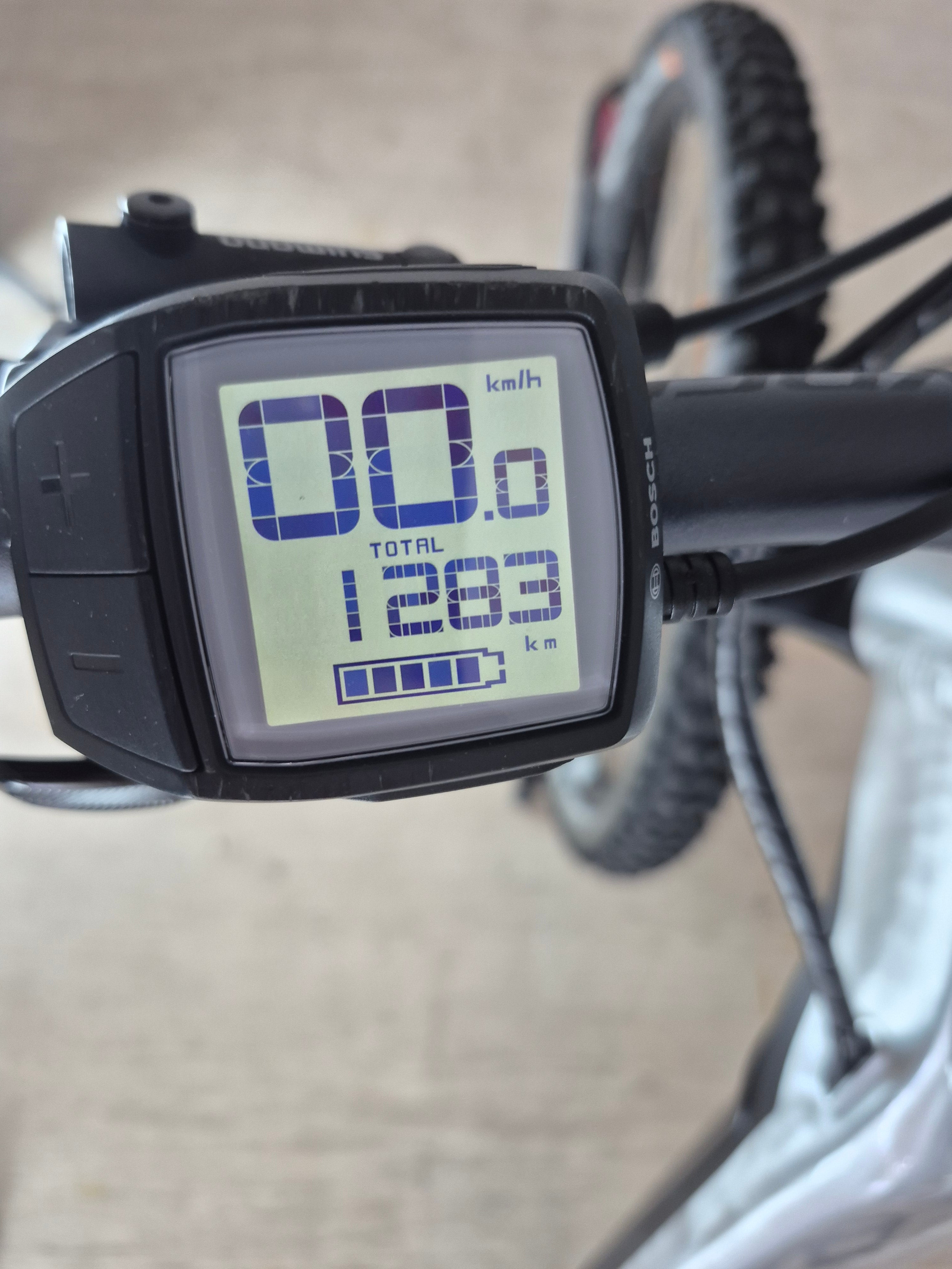 Bergamont E-Trailster Expert