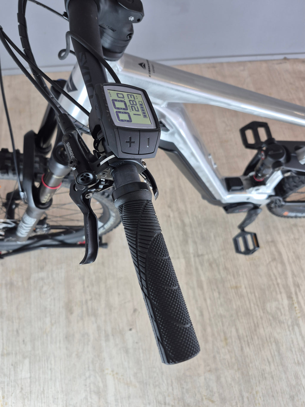 Bergamont E-Trailster Expert