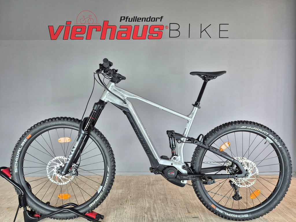 Bergamont E-Trailster Expert