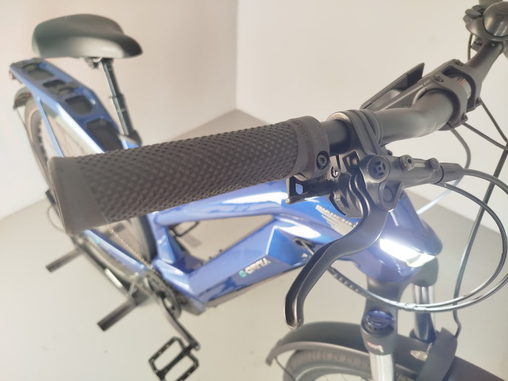 Bianchi E-OMNIA TTYPEST XT 12 BOSCH625 (VO)