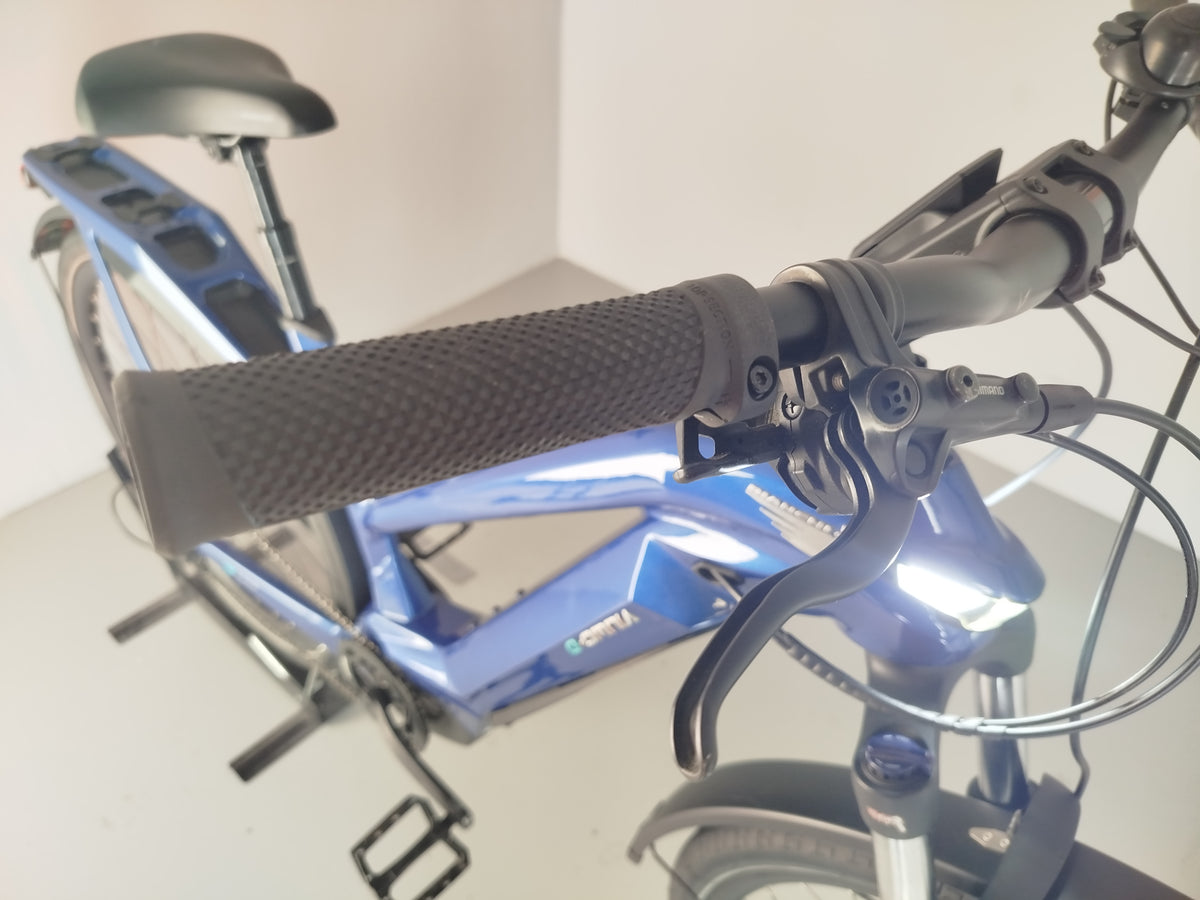 Bianchi E-OMNIA TTYPEST XT 12 BOSCH625 (VO)