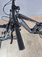 Bulls Sonic EVO AM SL 1