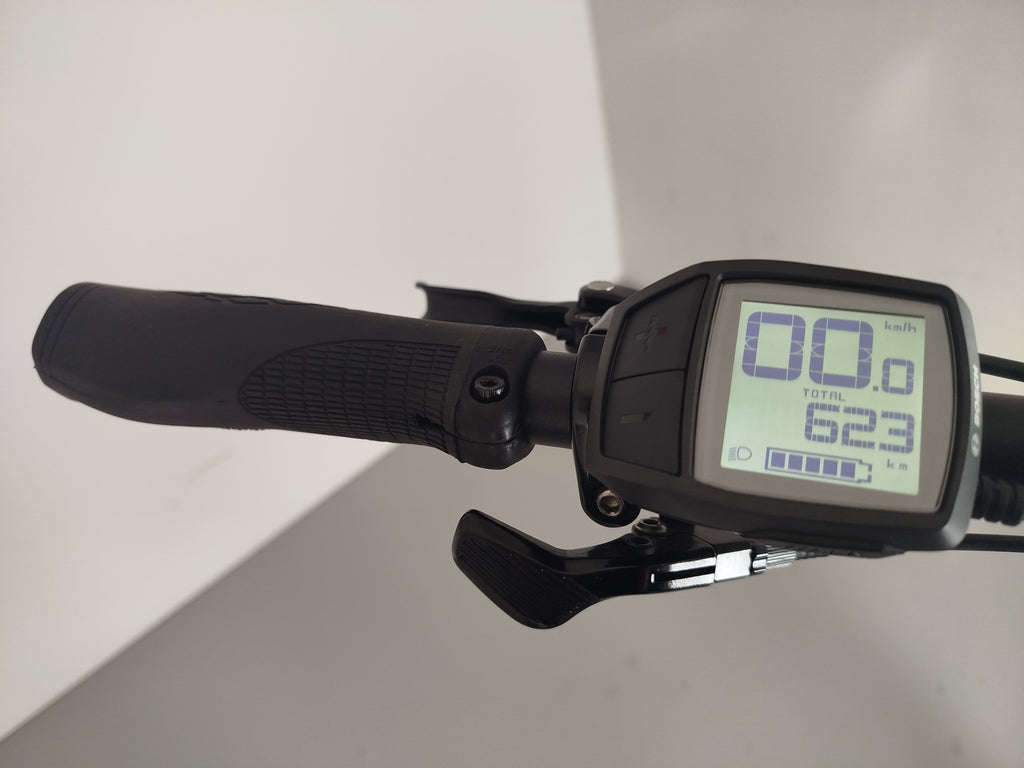 Cannondale Adventure Neo 3.1 EQ