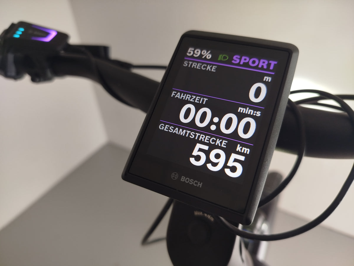 Cannondale Tesoro Neo X1