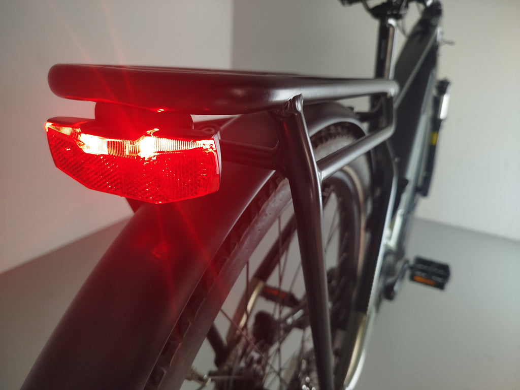 Cannondale Tesoro Neo X2