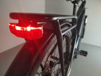 Cannondale Tesoro Neo X2