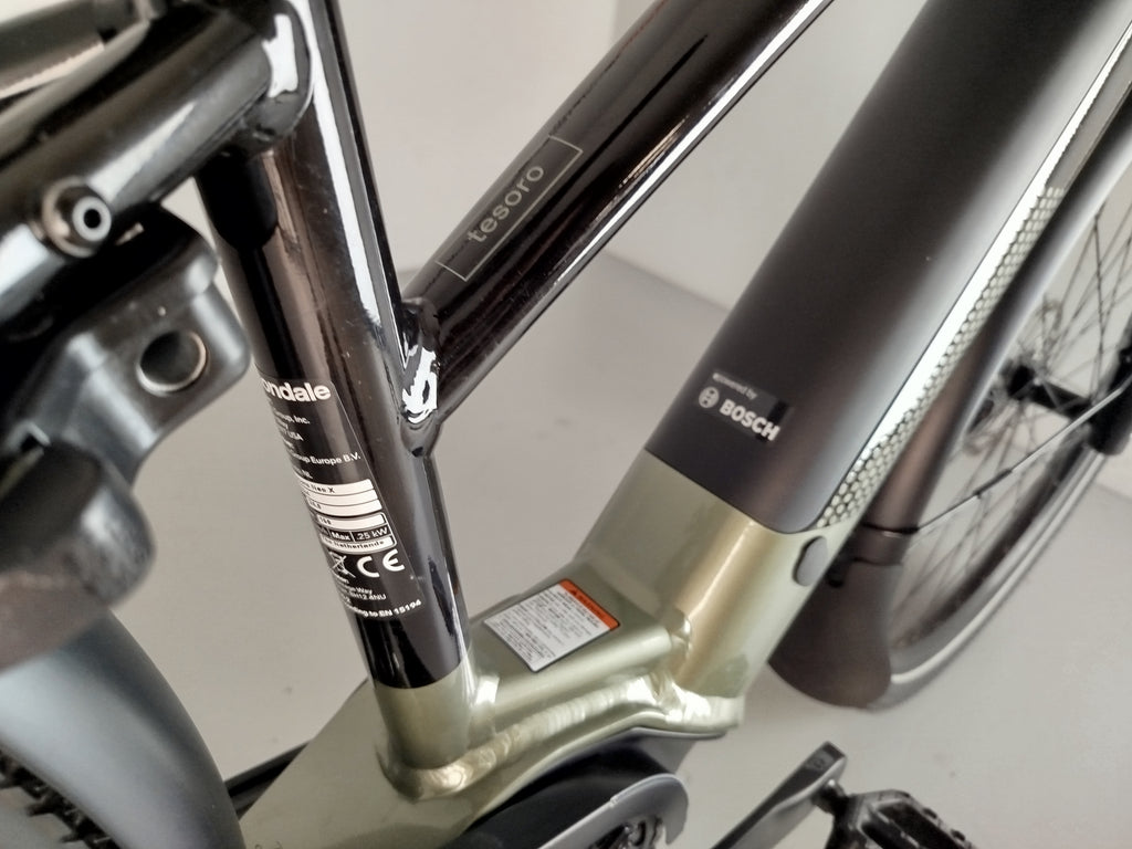 Cannondale Tesoro Neo X2 Step-Through