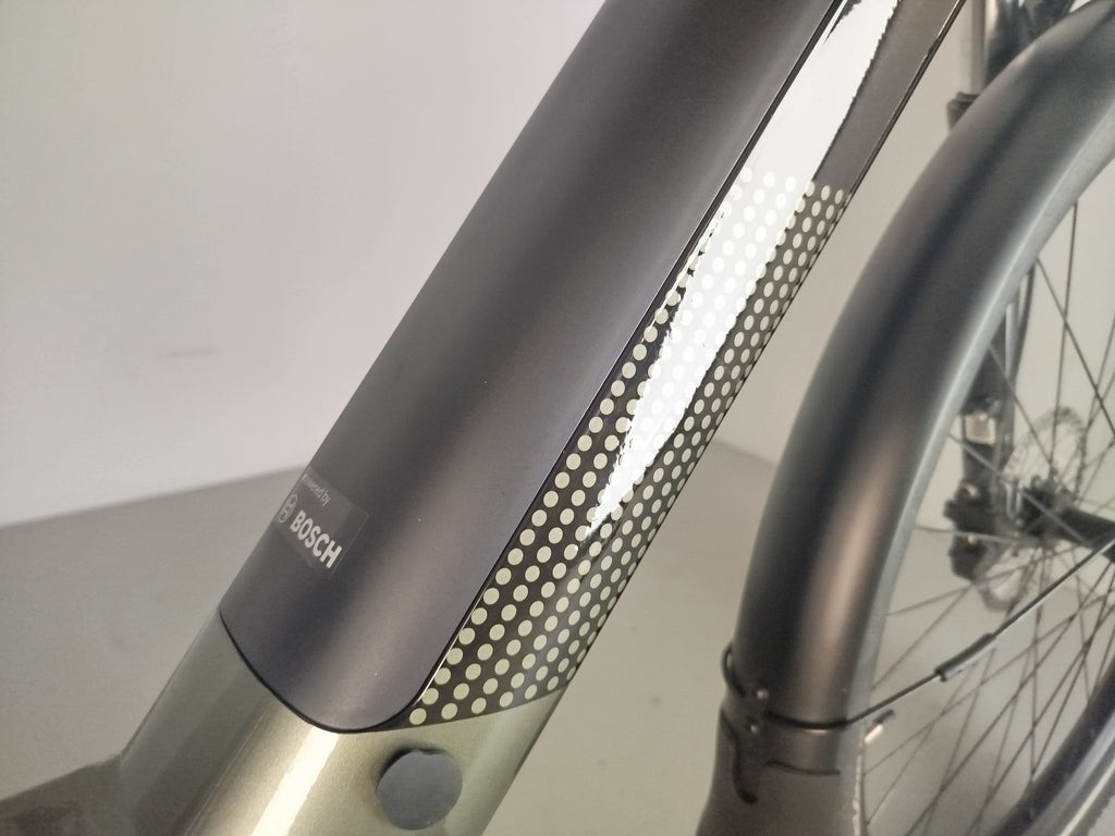 Cannondale Tesoro Neo X2