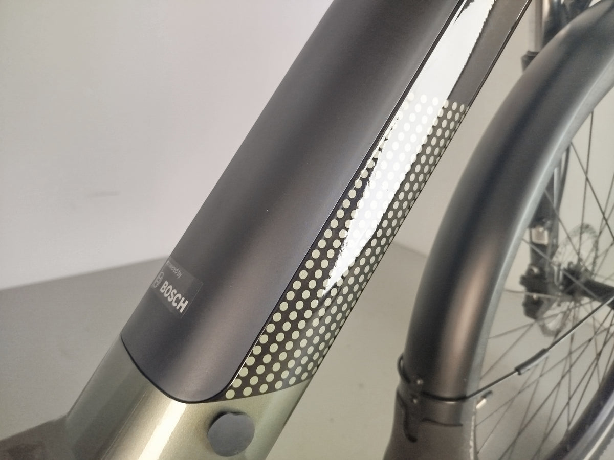 Cannondale Tesoro Neo X2