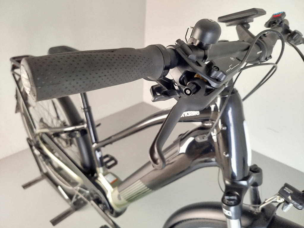 Cannondale Tesoro Neo X2 Step-Through