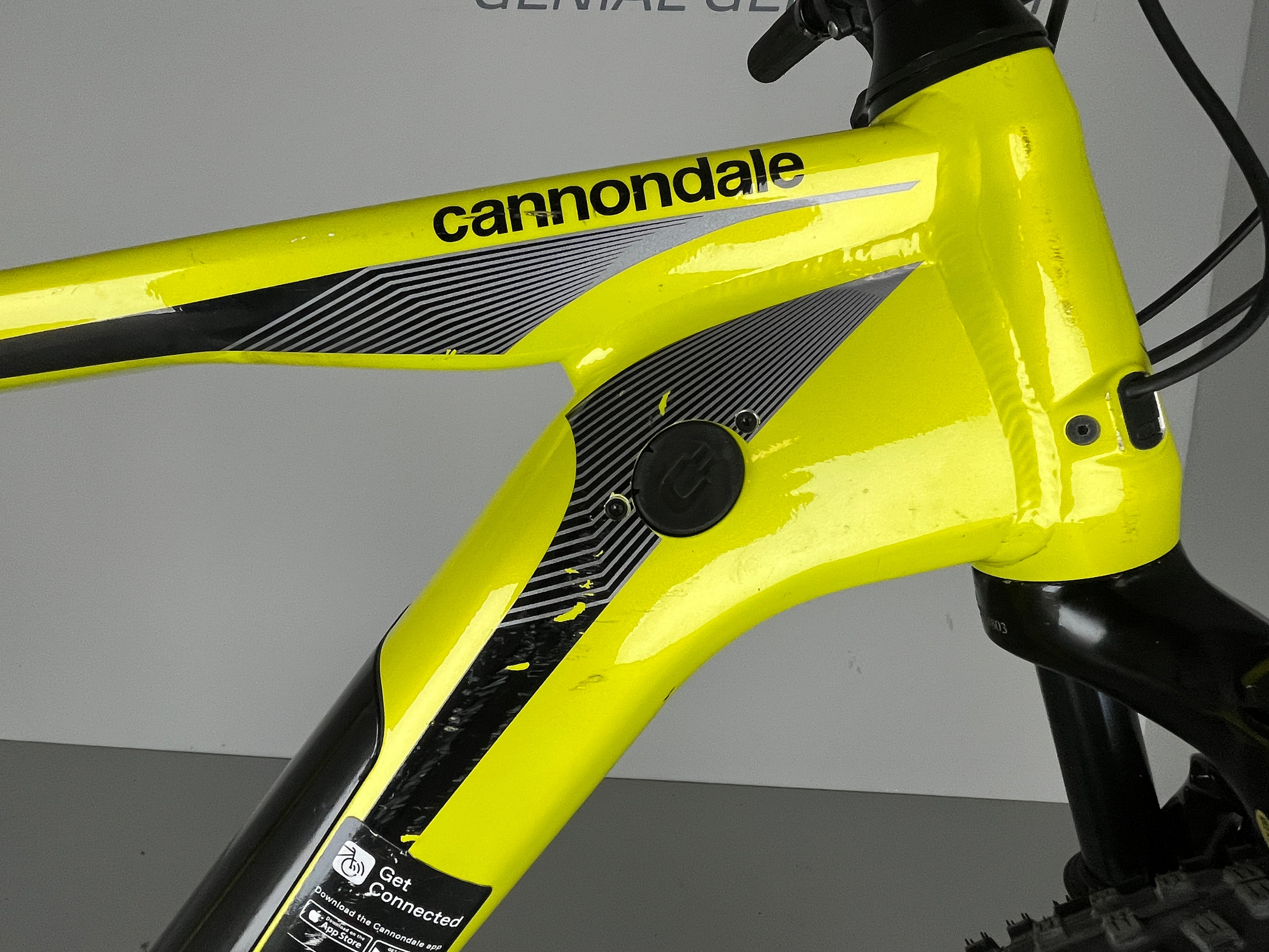 Cannondale Trail Neo 4