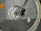 Creme Cycles Eve 7 belt / Trapez / Ash Gray