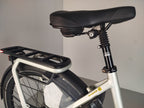 Gazelle Avignon C