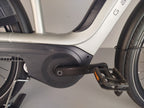 Gazelle Avignon C