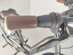 Gazelle Grenoble C8+ HMB Elite