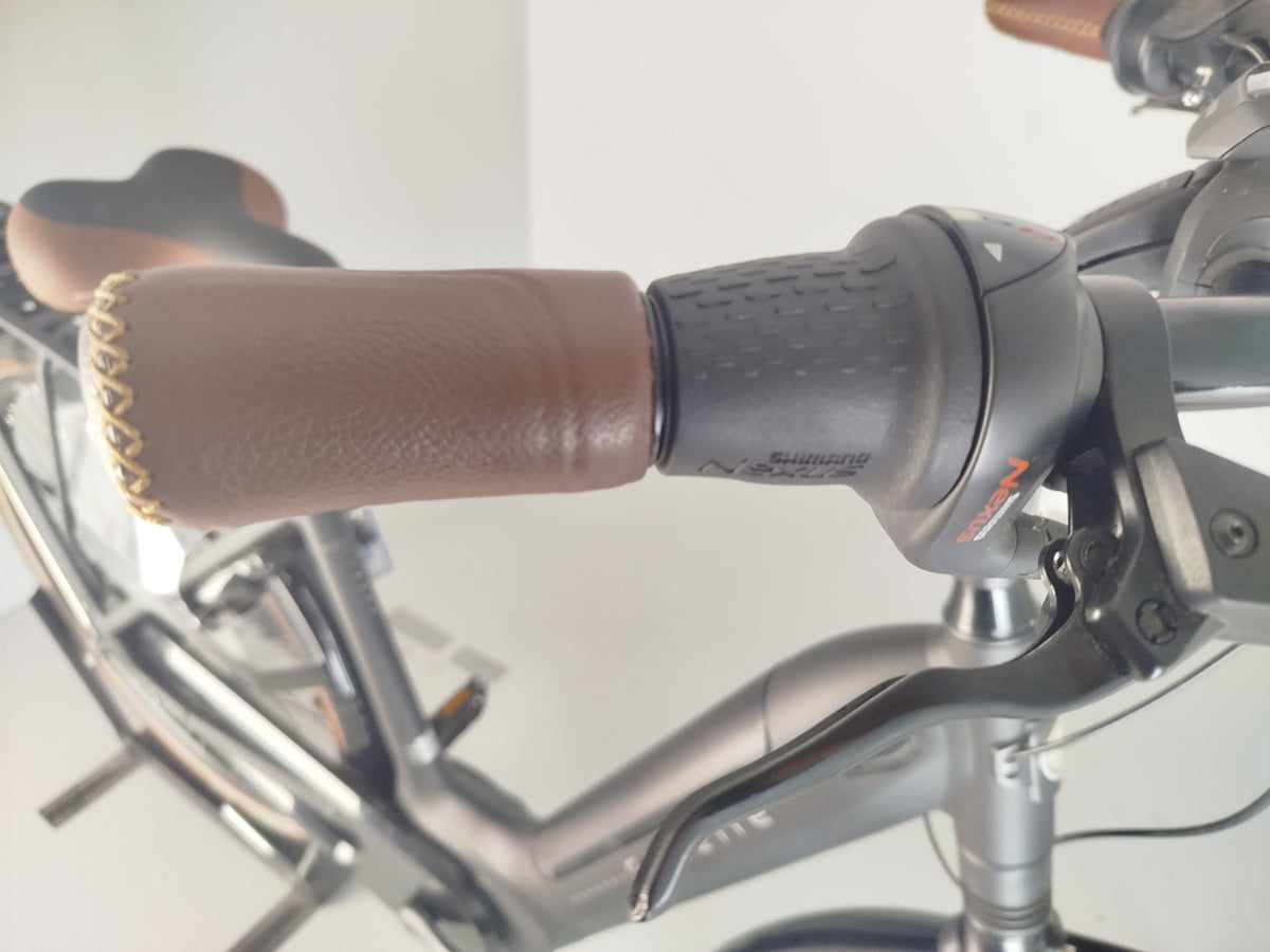 Gazelle Grenoble C8+ HMB Elite