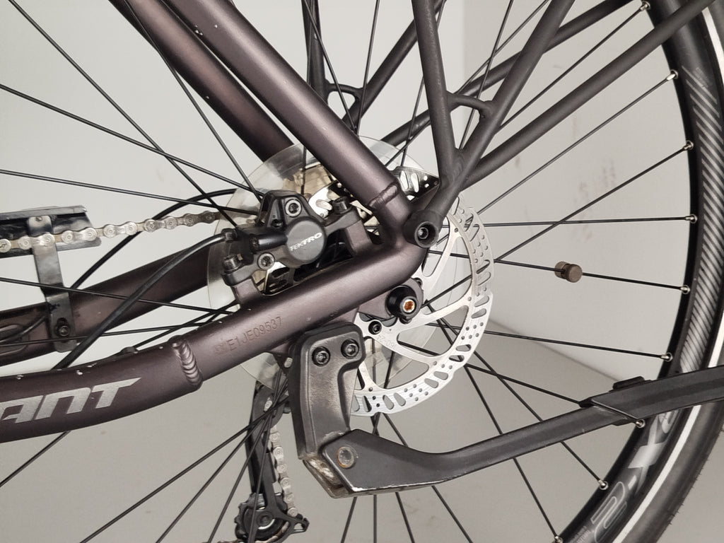 Giant DailyTour E+ 3 GTS