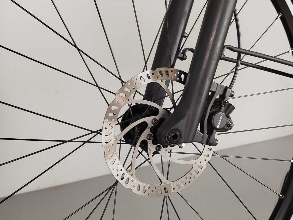 Giant DailyTour E+ 3 GTS