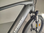 Haibike Trekking 4