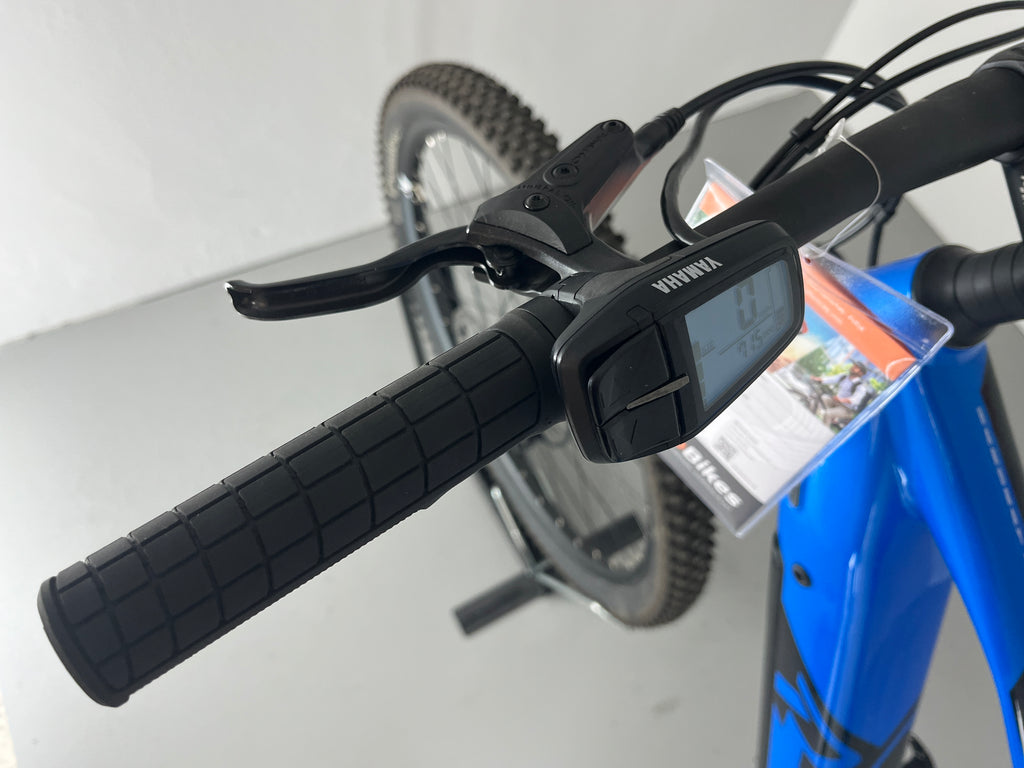 Raymon HardRay E 6.0 (29 Zoll / Blue)