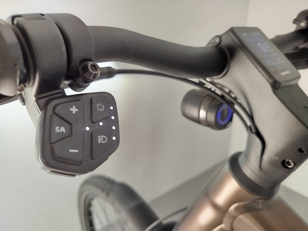 GIANT explore E+ Pro 1 GTS (DD) XL