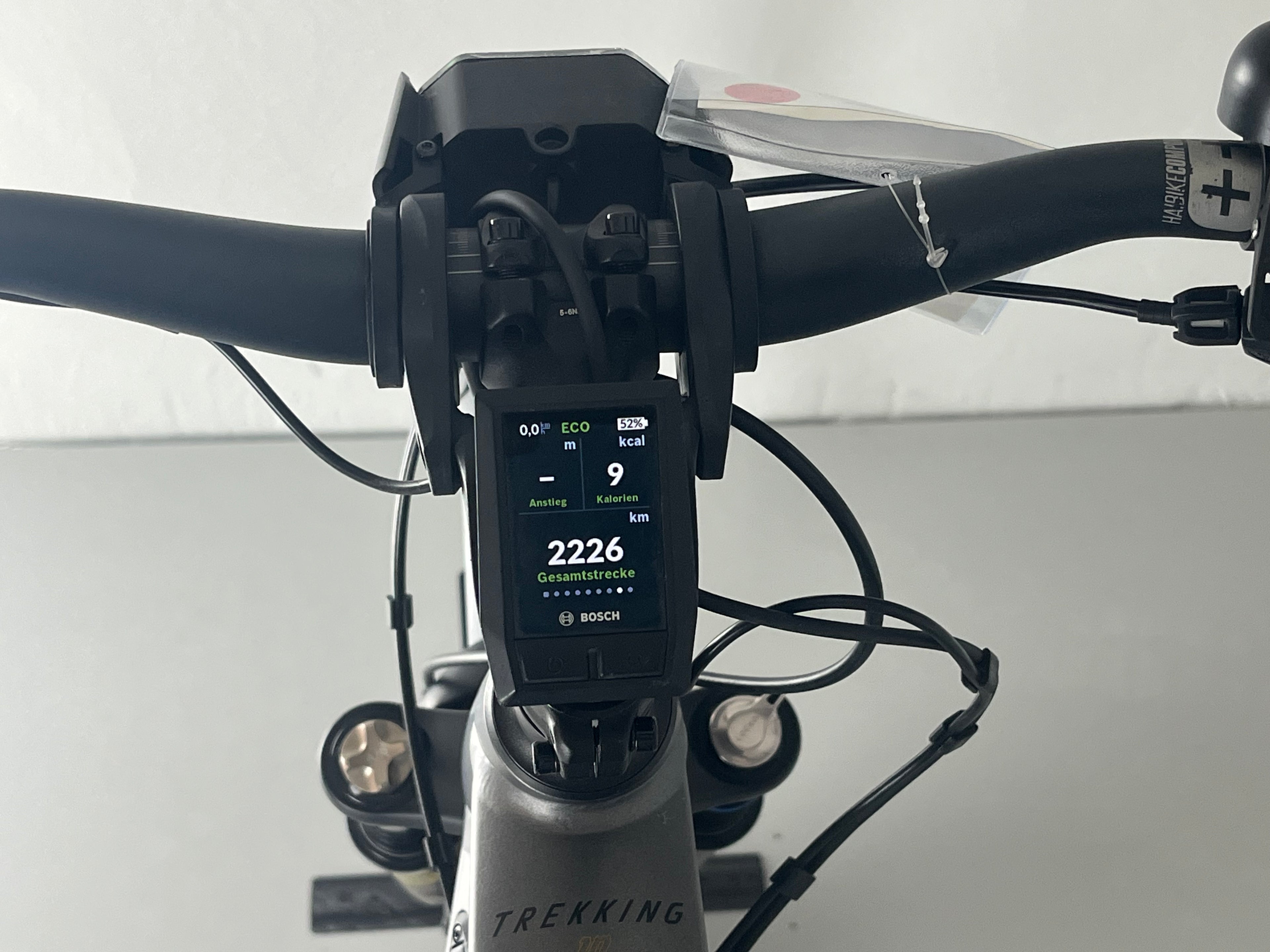 Haibike Trekking 10