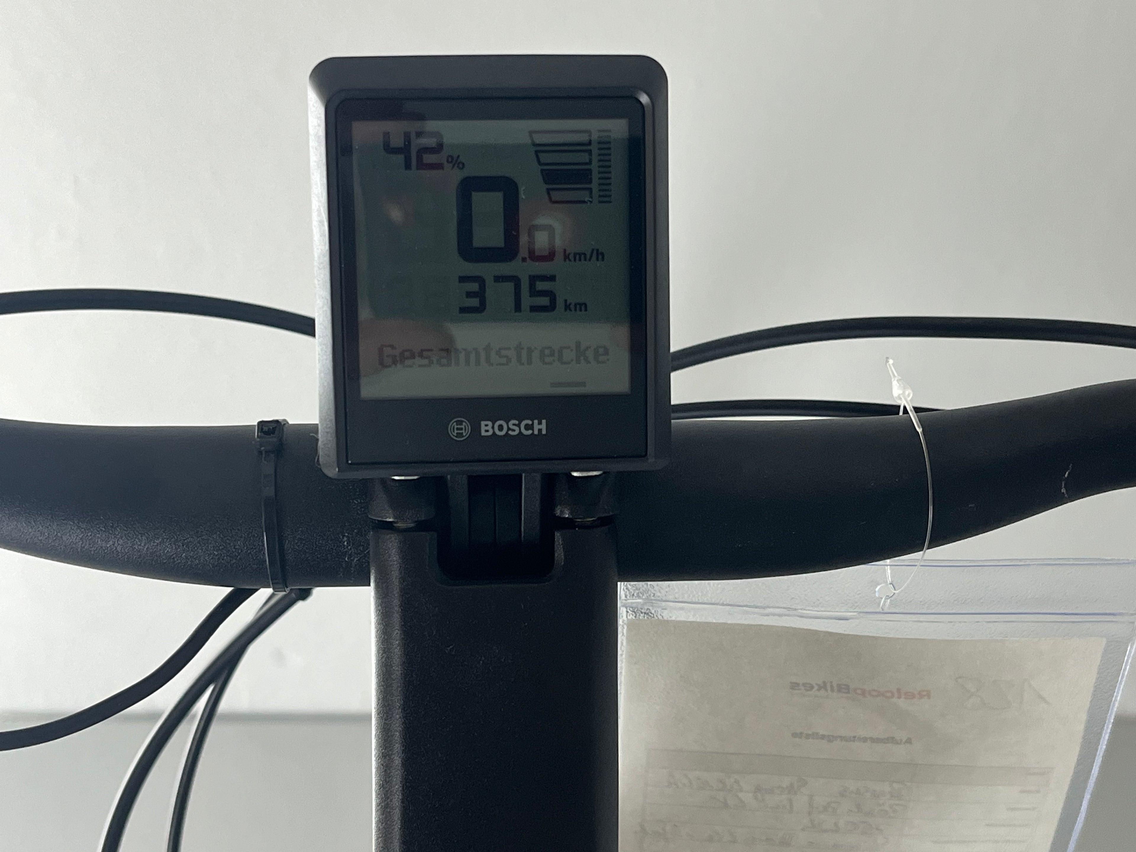 Pegasus Strong EVO 10 LITE
