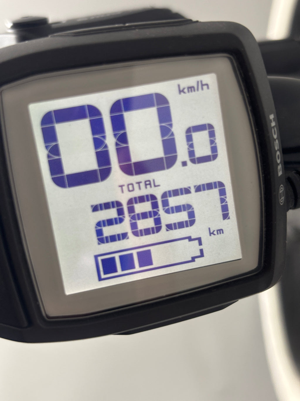 Ruff Cycles BIGGIE Active 300