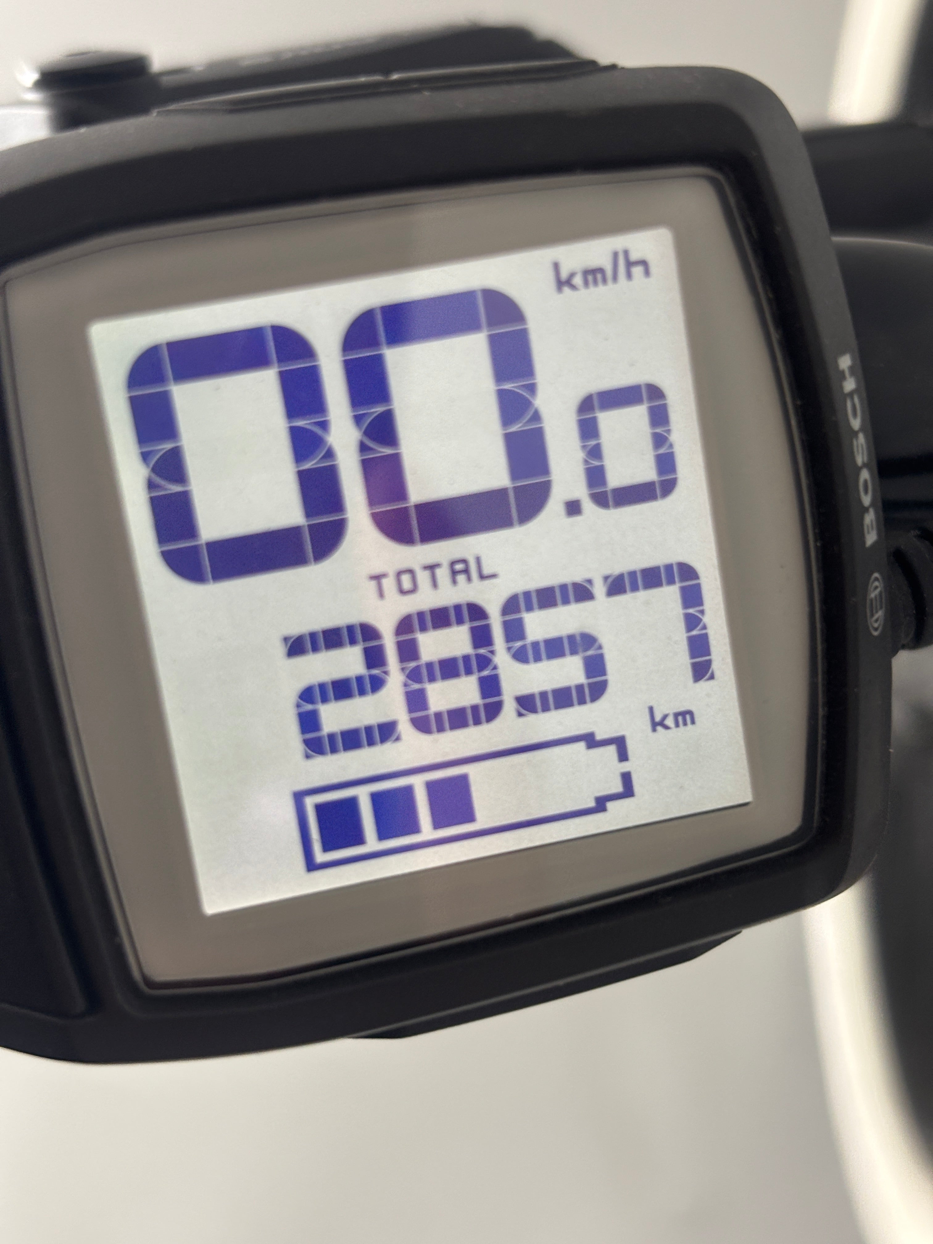 Ruff Cycles BIGGIE Active 300