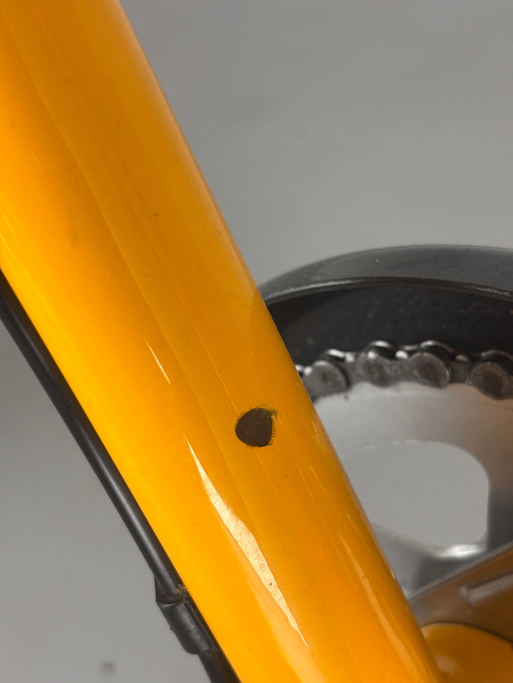 Utopia Velo Silbermöwe