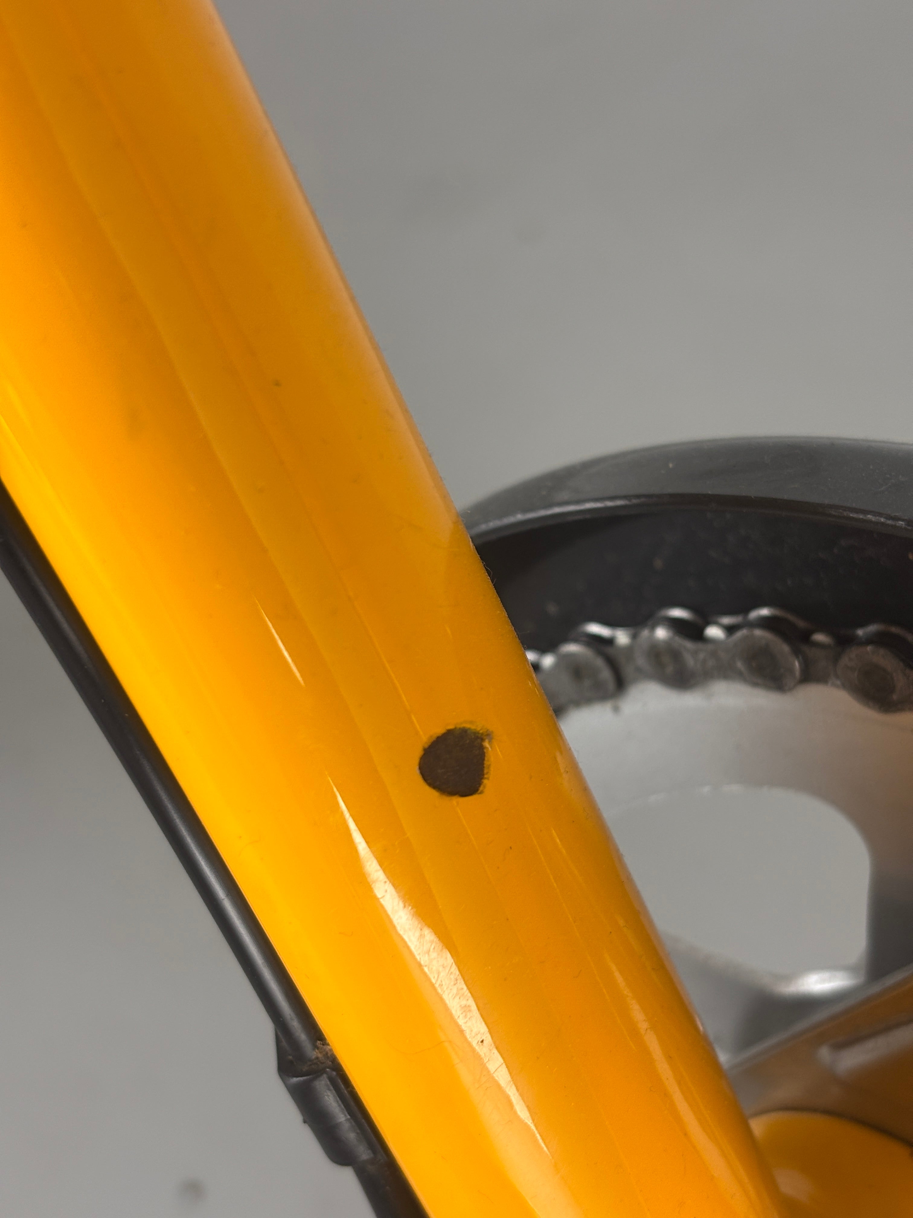 Utopia Velo Silbermöwe