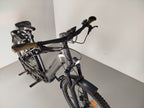 Kalkhoff ENTICE 5.B ADVANCE+