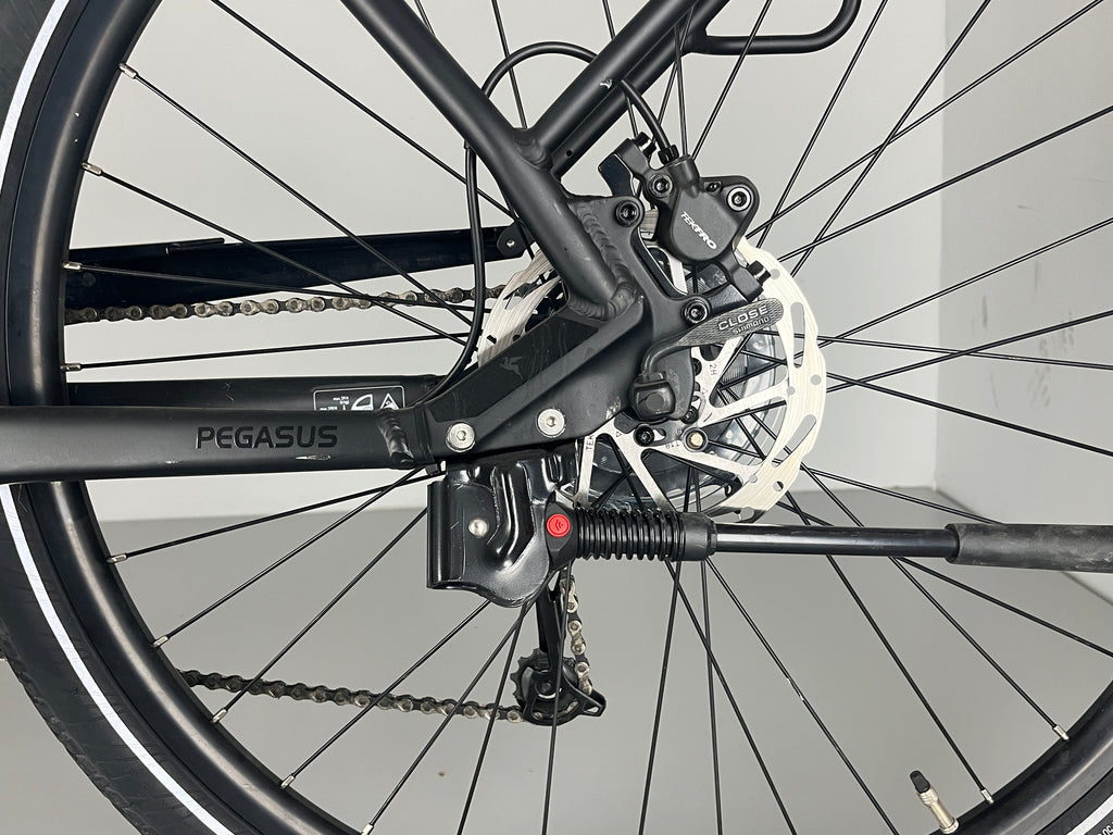 PEGASUS Solero EVO 9