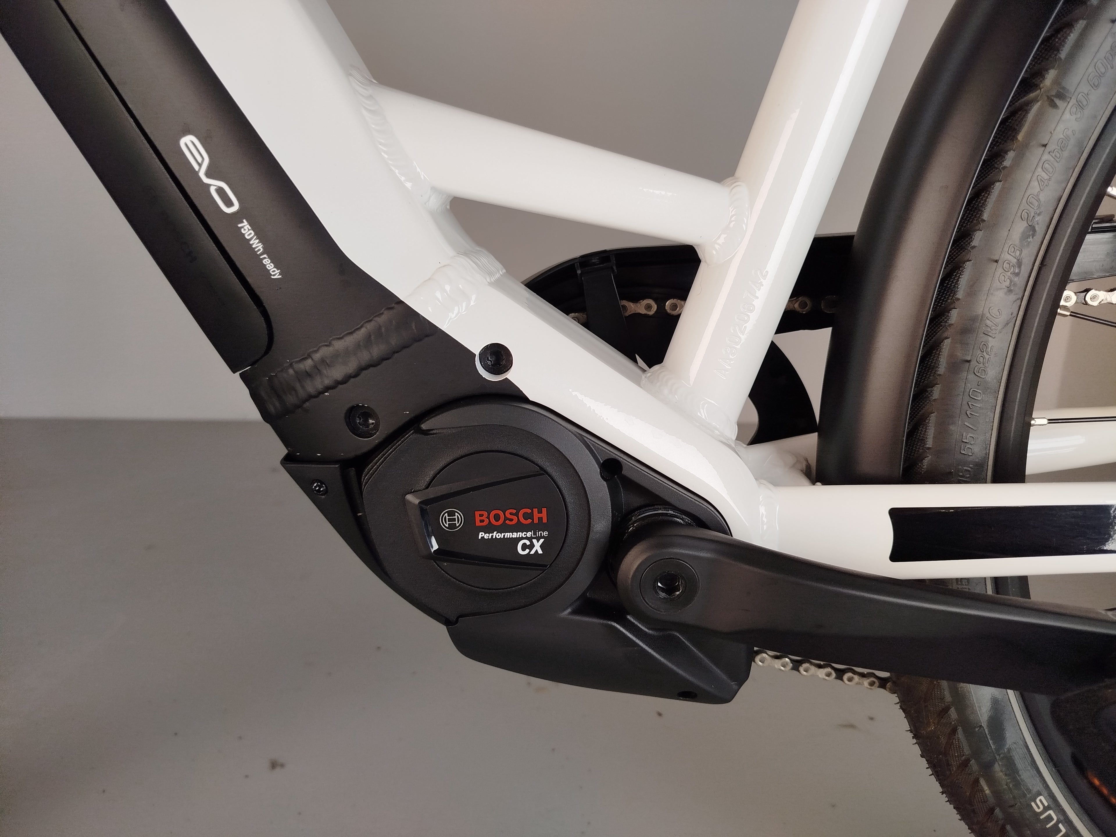 Pegasus Evo 10 Lite