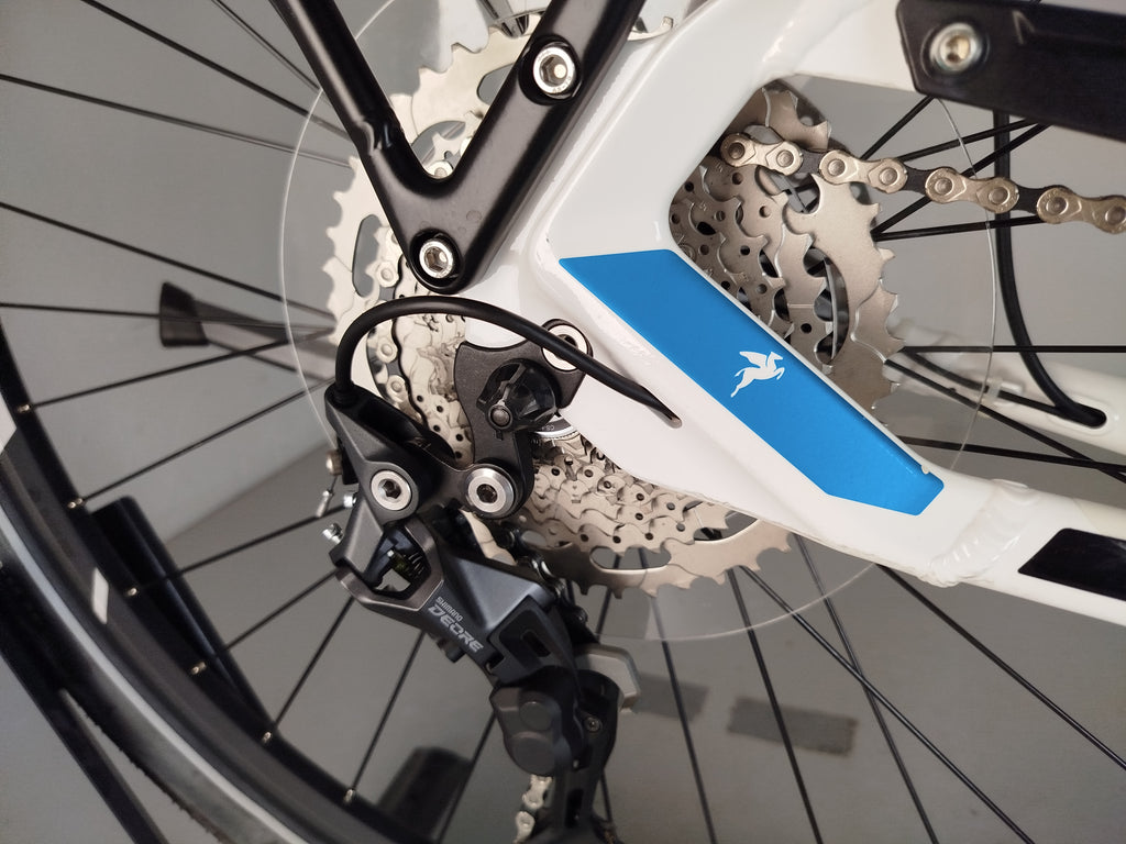 Pegasus Evo 10 Lite