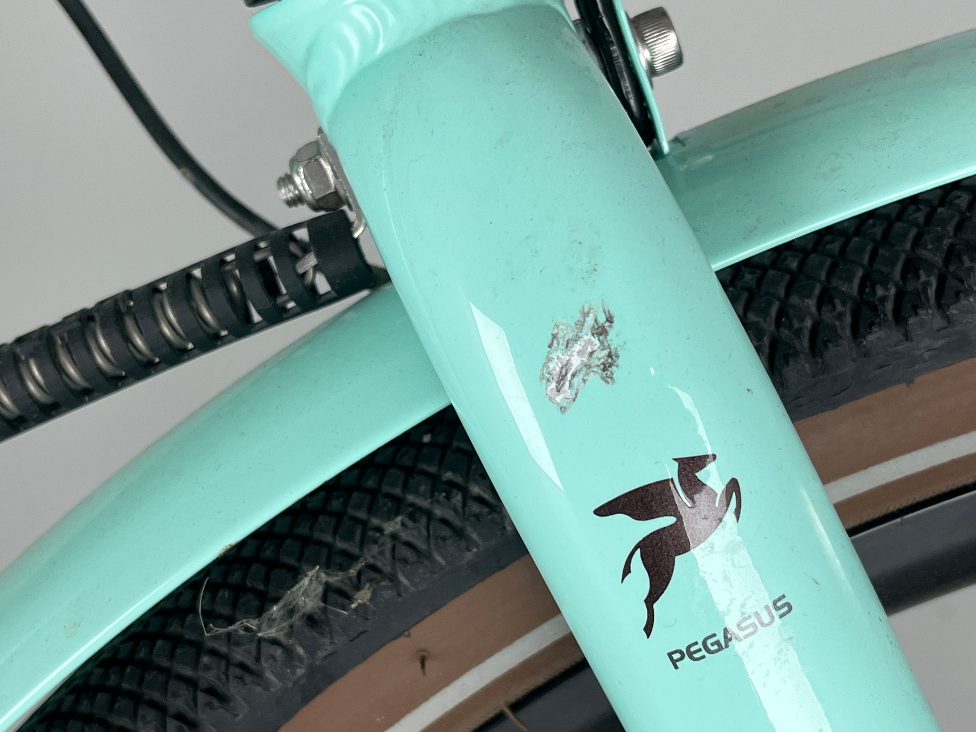 Pegasus Orticello E ELO