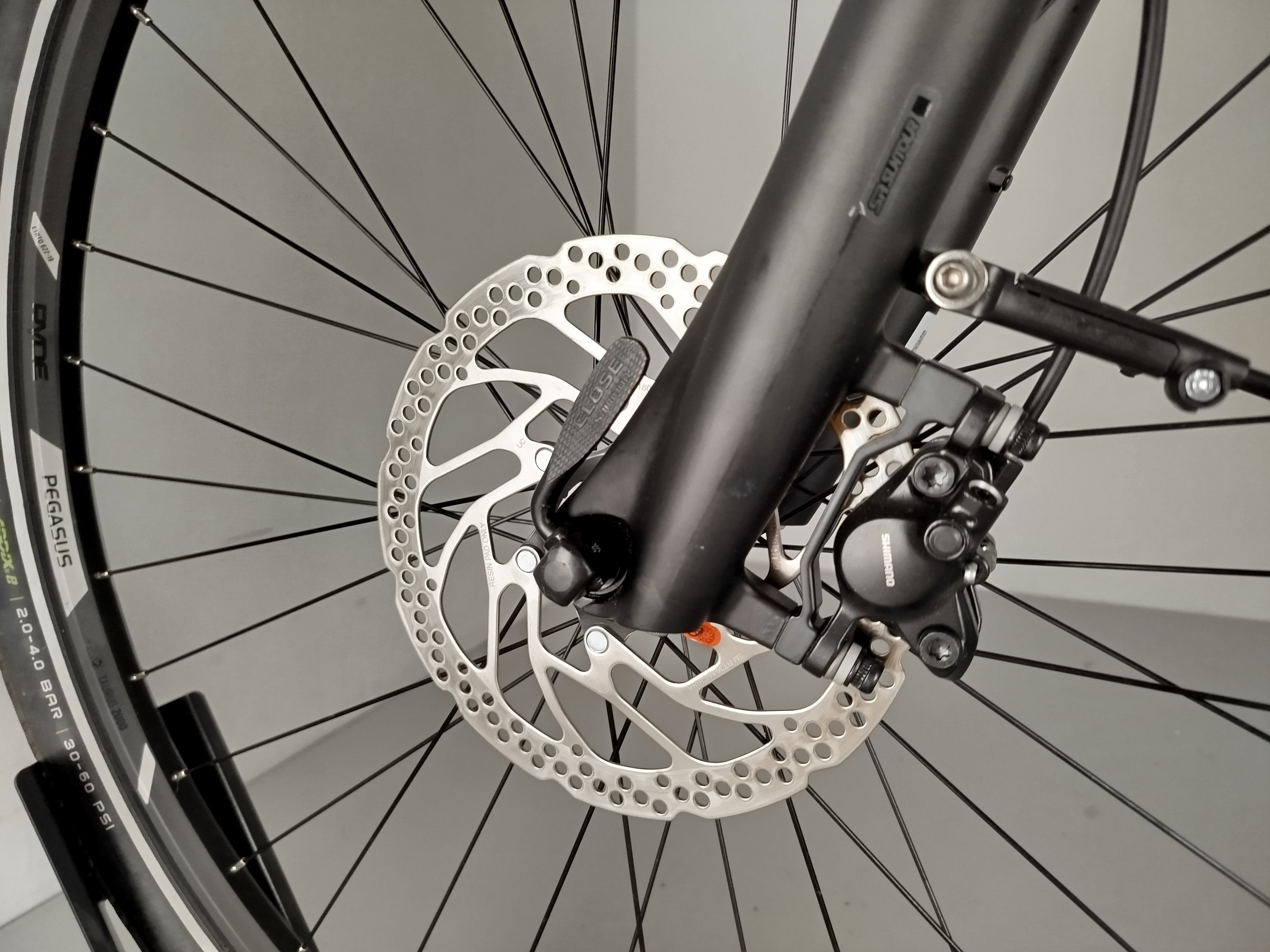 Pegasus Premio EVO 10 Lite
